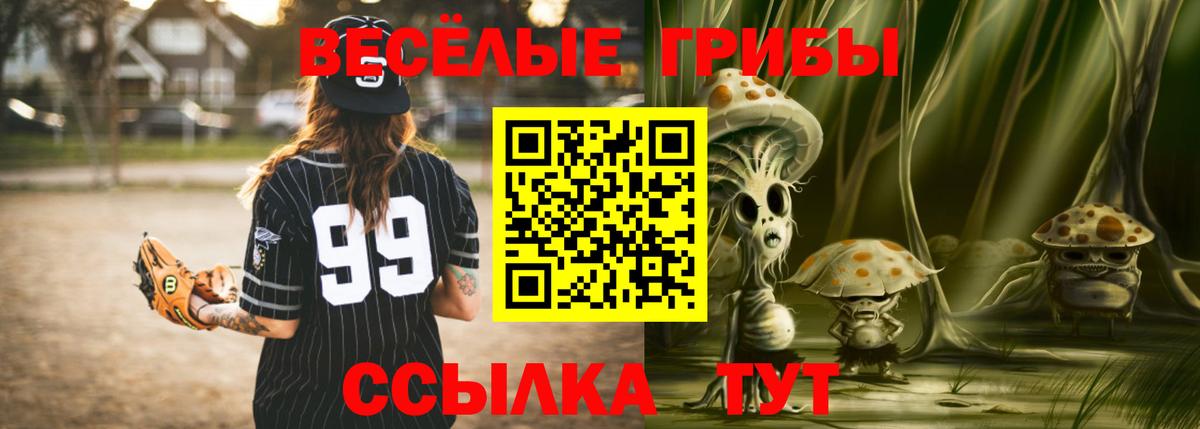 Галлюциногенные грибы Psilocybe  Галлюциногенные грибы Psilocybe  Вход с VPN  Благодарный 